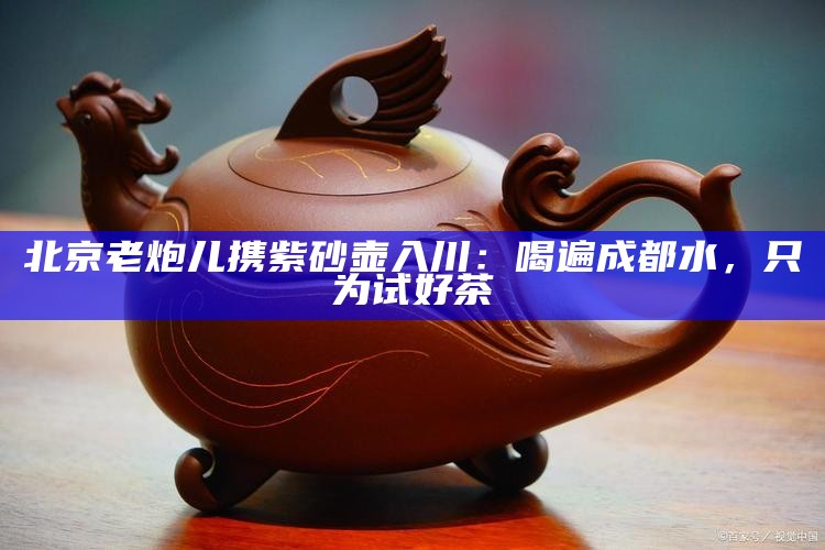 北京老炮儿携紫砂壶入川：喝遍成都水，只为试好茶