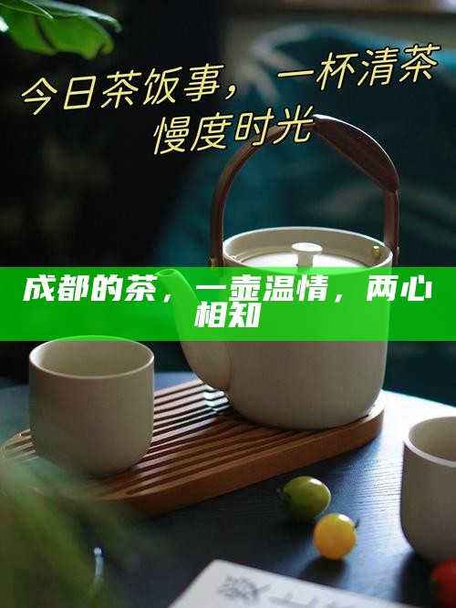 成都的茶，一壶温情，两心相知