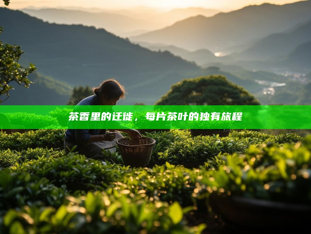 茶香里的迁徙，每片茶叶的独有旅程