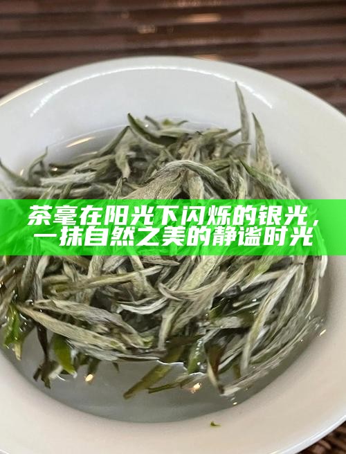 茶毫在阳光下闪烁的银光，一抹自然之美的静谧时光
