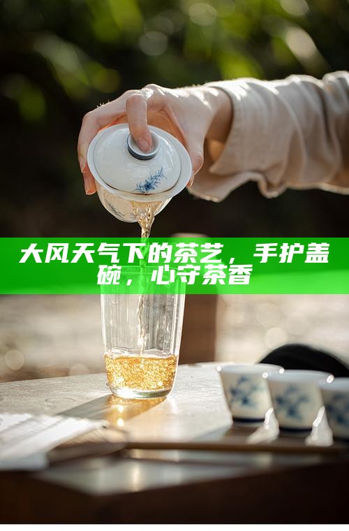 大风天气下的茶艺，手护盖碗，心守茶香
